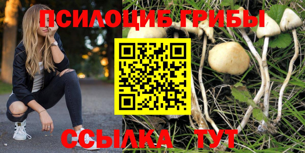 Галлюциногенные грибы мицелий  продажа наркотиков  Орск  Вход с VPN  Псилоцибиновые грибы MAGIC MUSHROOMS 