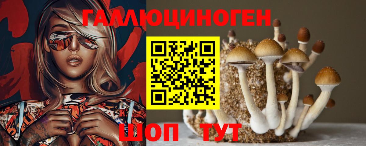 Галлюциногенные грибы мицелий Орск